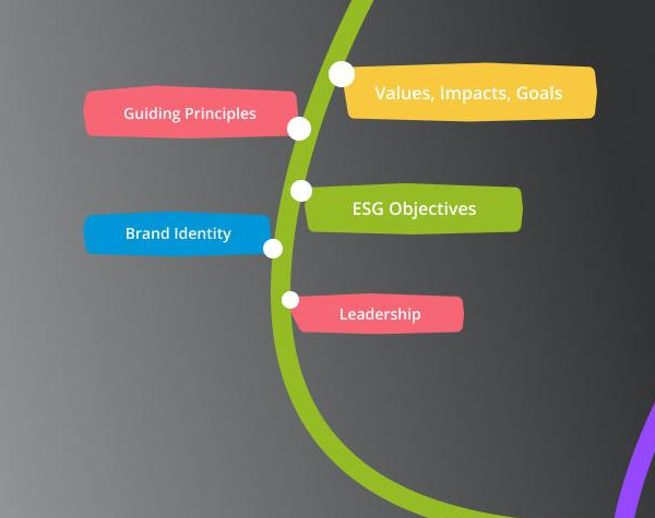 Build Your Hotel’s Sustainability Policy and ESG Strategy: Getting Started