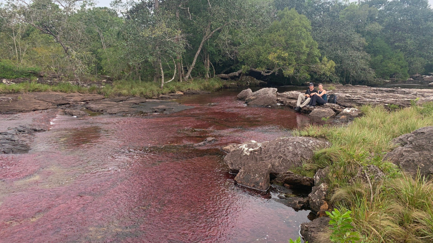 Cano Cristales Colombia